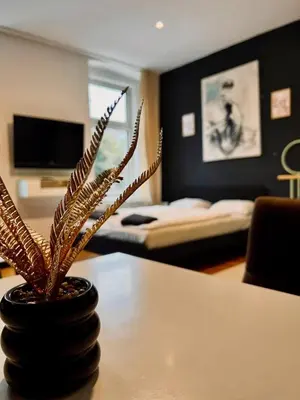TV/Unterhaltungsangebot in der Unterkunft WW Apartment - Brigittenau Area MM16