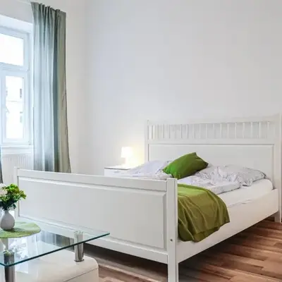 Comfy 2 Adjacent apartments very Central in Vienna