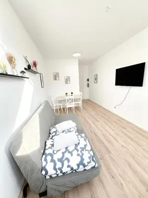 TV/Unterhaltungsangebot in der Unterkunft Family apartment - 5 minutes to schönbrunn