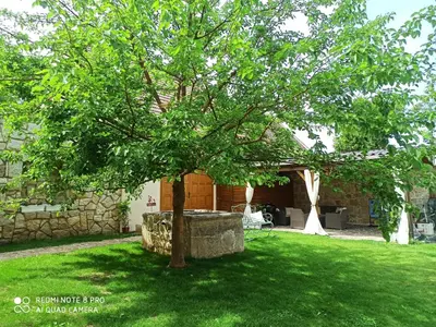 Ein Garten an der Unterkunft Alte Mühle