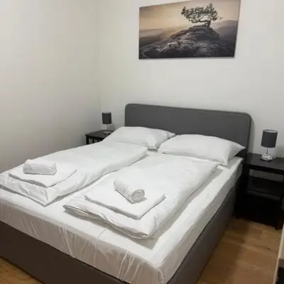 City Vienna Hirsch Apartment