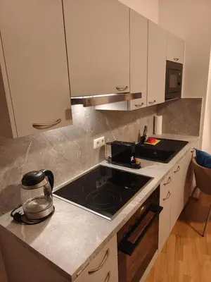 Küche/Küchenzeile in der Unterkunft Luxury Central Apartment with Garden