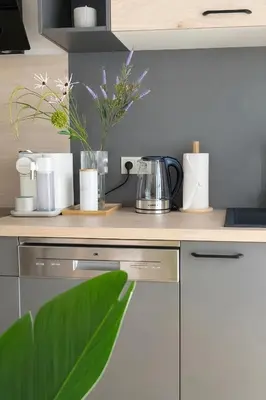 Küche/Küchenzeile in der Unterkunft Suites am Herzogberg