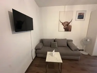 TV/Unterhaltungsangebot in der Unterkunft Quiet centrally located apartment in Vienna