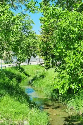 Naturlandschaft in der Nähe der Ferienwohnung