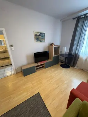 TV/Unterhaltungsangebot in der Unterkunft Premium Apartment near Park