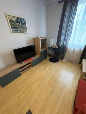TV/Unterhaltungsangebot in der Unterkunft Premium Apartment near Park