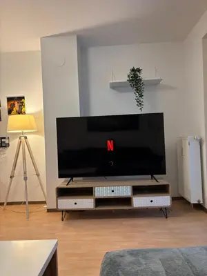 TV/Unterhaltungsangebot in der Unterkunft Cozy 2-Room Private Apartment near U1 subway
