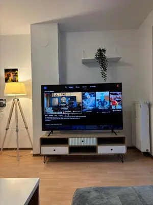 TV/Unterhaltungsangebot in der Unterkunft Cozy 2-Room Private Apartment near U1 subway