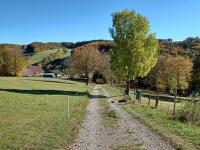 Naturlandschaft in der Nähe der Ferienwohnung