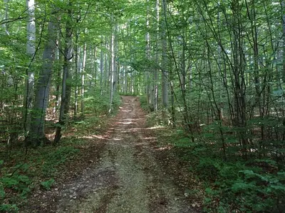 Naturlandschaft in der Nähe der Ferienwohnung