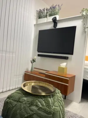TV/Unterhaltungsangebot in der Unterkunft Studio marine-green