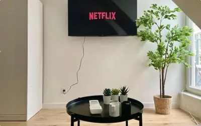 TV/Unterhaltungsangebot in der Unterkunft Rooftop Central Apartment with Balcony & Free Parking