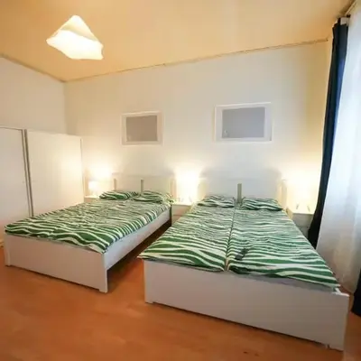 Cosy Apartment near Center