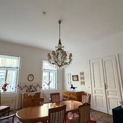 THE FIRST Vienna