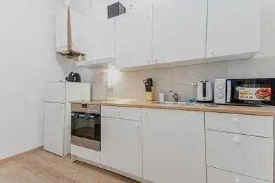 Küche/Küchenzeile in der Unterkunft Spacious Two Bedroom Apartment Near Stadthalle