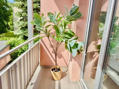 Ein Balkon oder eine Terrasse in der Unterkunft 3 Bedroom Apartment with 2 Balconies near Airport