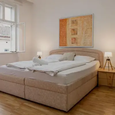 Comfortable One Bedroom Apartment in Vienna