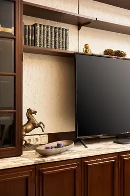 TV/Unterhaltungsangebot in der Unterkunft Vienna Old Town Historic 1 BD Residence