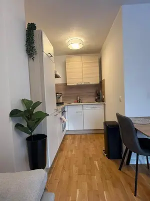 Küche/Küchenzeile in der Unterkunft 9-Min to Center, 1BR &1LR Apt with Balcony, TV & WIFI