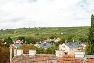 Naturlandschaft in der Nähe der Ferienwohnung
