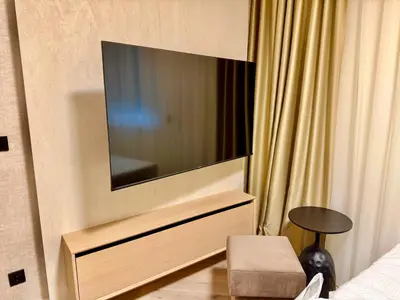 TV/Unterhaltungsangebot in der Unterkunft Luxury Modern Apartment near Metro
