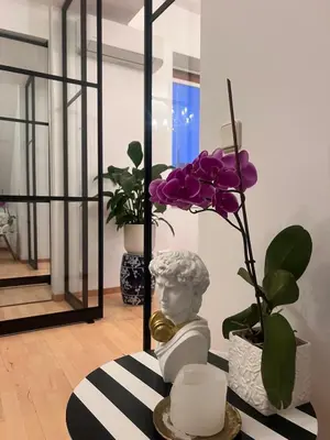 Grundriss der Unterkunft Amadeus Studio