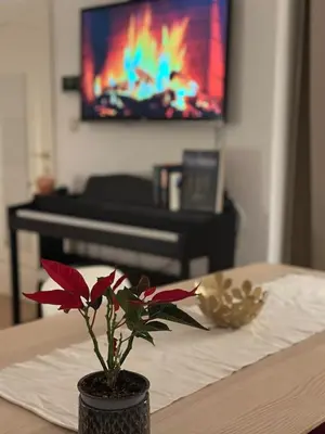TV/Unterhaltungsangebot in der Unterkunft Viennese Nest Apartment