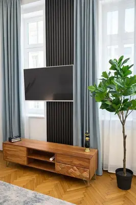 TV/Unterhaltungsangebot in der Unterkunft Old Town Vienna Apartment Walk to Stephansdom