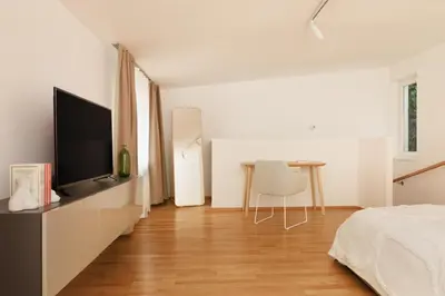 TV/Unterhaltungsangebot in der Unterkunft Cozy, stylish and renovated Duplex in a quiet Area and 15 min to Vienna Center