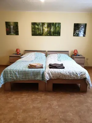 Ein Bett oder Betten in einem Zimmer der Unterkunft Apartment Robert