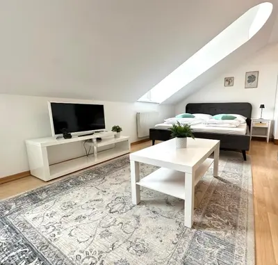 TV/Unterhaltungsangebot in der Unterkunft Vienna Excellent Apartments