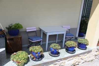 Ein Garten an der Unterkunft Das Mittelpunkt