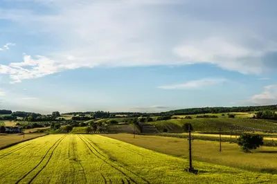 Naturlandschaft in der Nähe der Pension