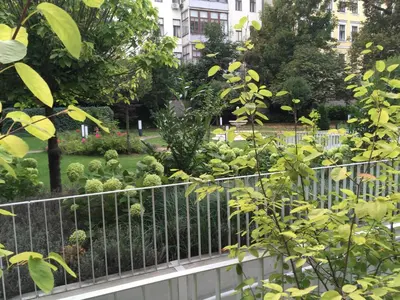 Grundriss der Unterkunft Apartments near Rathaus