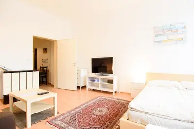 TV/Unterhaltungsangebot in der Unterkunft Vienna City Apartment Dampfgasse