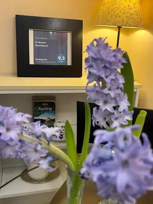 TV/Unterhaltungsangebot in der Unterkunft St Martin Apartment