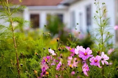 Ein Garten an der Unterkunft Engels Landhaus Suite