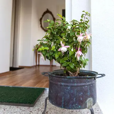Grundriss der Unterkunft Engels Landhaus Suite