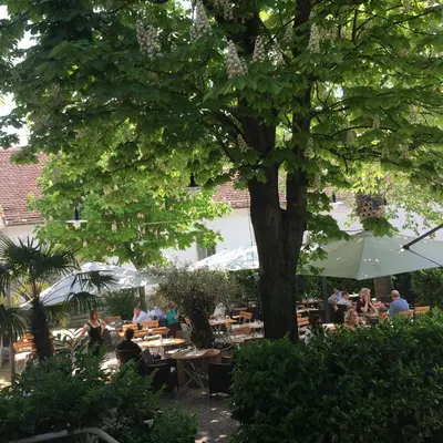 Ein Garten an der Unterkunft Wildenauer's