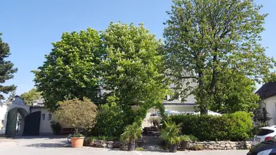 Ein Garten an der Unterkunft Wildenauer's