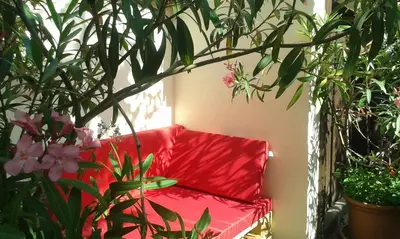 Ein Garten an der Unterkunft Gästehaus Elfriede