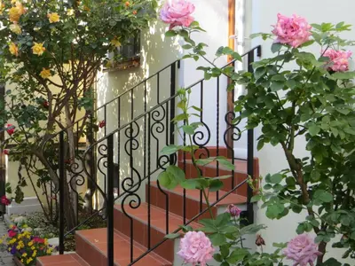 Ein Garten an der Unterkunft Gästehaus Elfriede