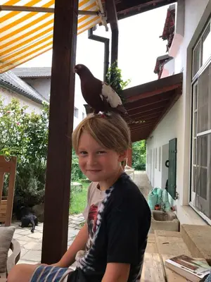 Gäste, die in der Unterkunft Gute Stube übernachten