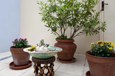 Ein Garten an der Unterkunft Vienna-flats