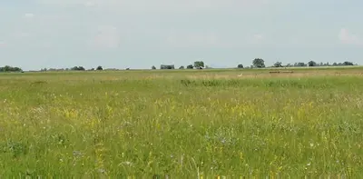 Naturlandschaft in der Nähe des Bed & Breakfasts