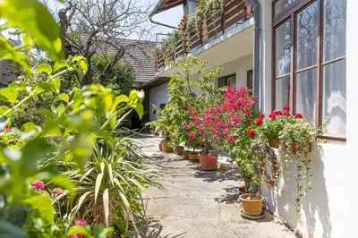 Ein Garten an der Unterkunft Ferienherbergen S & J Zeisz