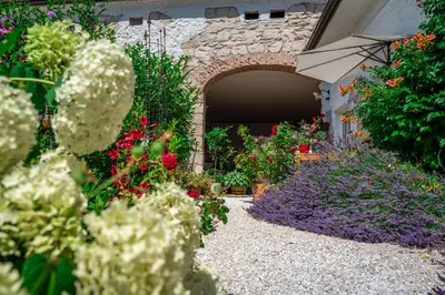 Ein Garten an der Unterkunft Haus Diogenes
