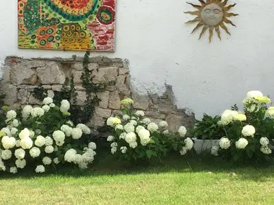 Ein Garten an der Unterkunft Haus Diogenes