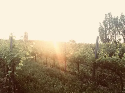 Blick auf den Sonnenuntergang/Sonnenaufgang von der Pension aus oder aus der Nähe